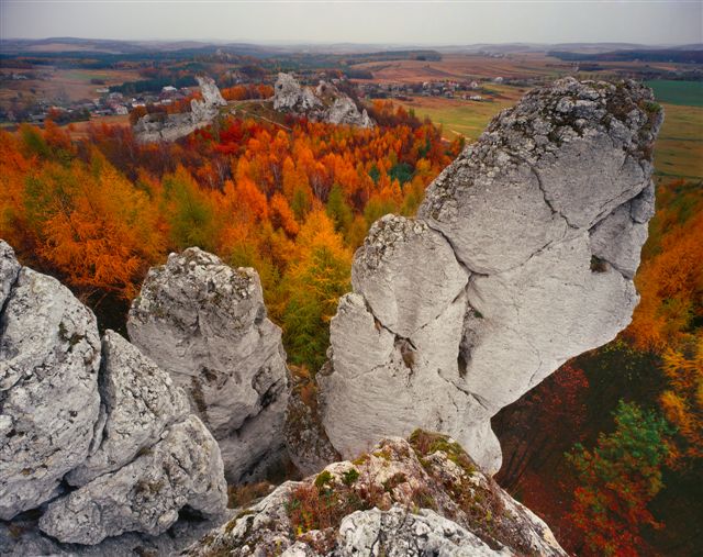 Niezwykłe kolory jesieni: malownicza grupa skał w pobliżu zamku w Ogrodzieńcu ... foto. T.Gębuś